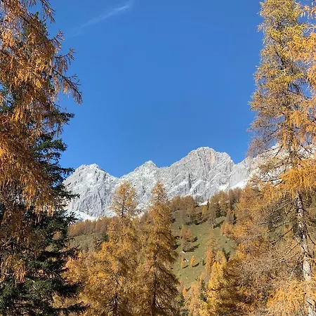 Hotel Hotel-appartement Hochkönig