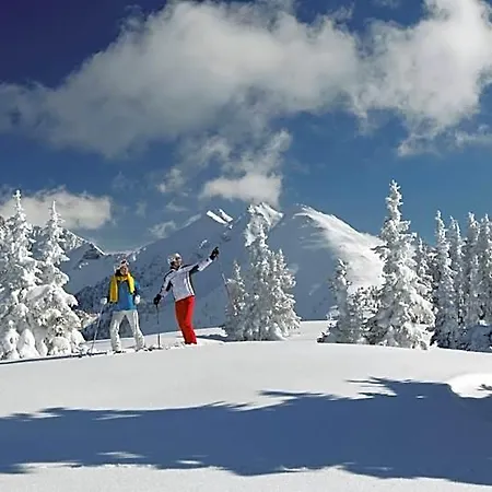 Hotel Aparthotel Das Hochkoenig 3*