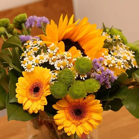 Otel Hochkoenig Ramsau am Dachstein