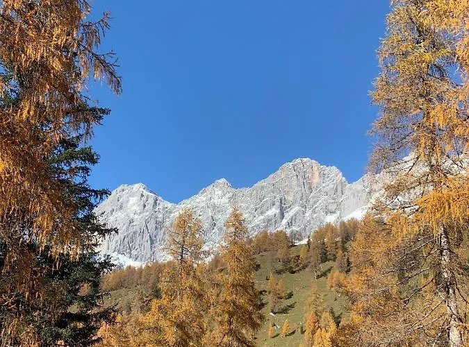 Hotel Aparthotel Das Hochkoenig